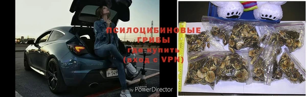 apvp Каменногорск