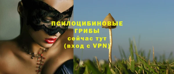 меф Каменка