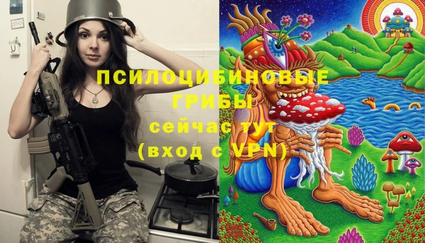 меф Каменка