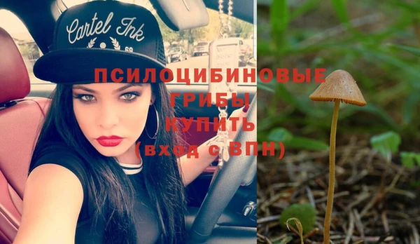 apvp Каменногорск