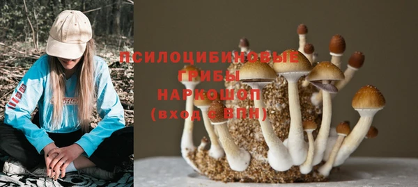 apvp Каменногорск