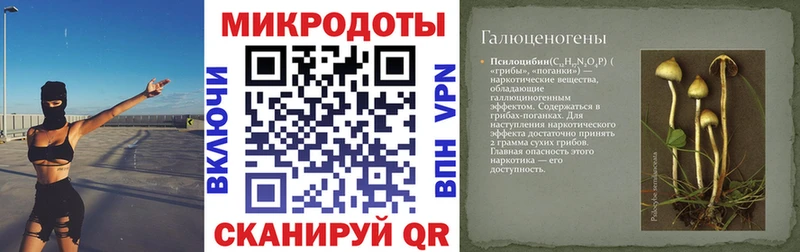Купить  Жердевка  Галлюциногенные грибы ЛСД 